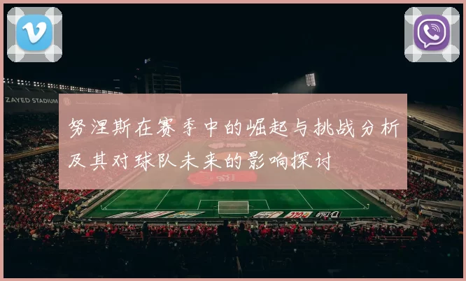 努涅斯在赛季中的崛起与挑战分析及其对球队未来的影响探讨