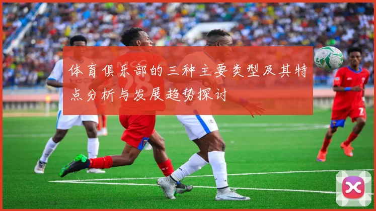 体育俱乐部的三种主要类型及其特点分析与发展趋势探讨